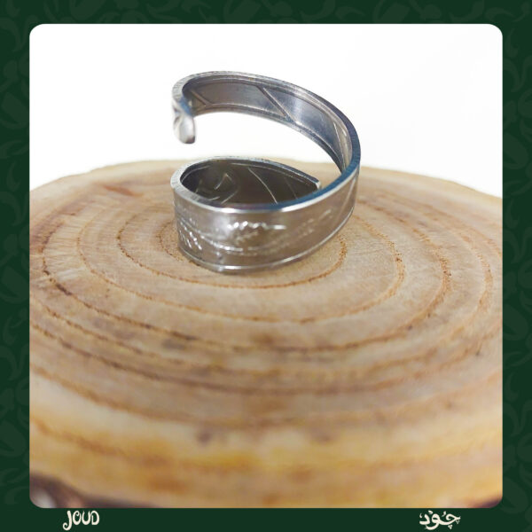 Vines . spiral spoon ring